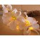 1 Set of 20 LED White Frangipani Flower Battery String Lights Christmas Gift Home Wedding Beach Party Decoration Outdoor Table Centrepiece