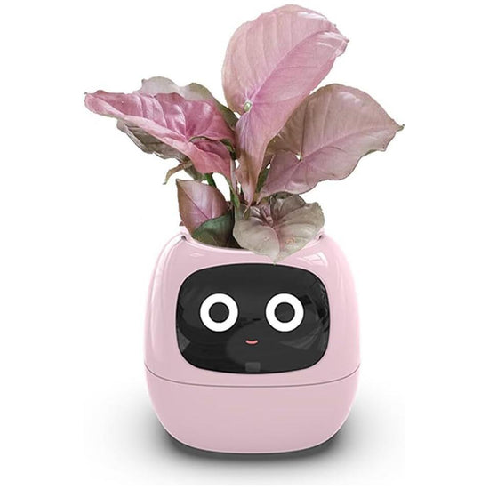 Intelligent Flower Pot, Electronic Bud, Maintenance Plant Assistant, Fun Interactive Flower Pot, Indoor Green Planting Monitoring, LCD Screen Display, Cell Phone APP Connection (Pink)