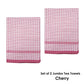 Hotel Living Set of 2 Jumbo Cotton Check Tea Towels 60x90cm Cherry