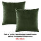 Bianca Pair of Vivid Coordinates Forest Green Velvet European Pillowcases