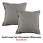 Bianca Pair of Zaria Taupe European Pillowcases 65 x 65cm