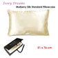 Ardor Mulberry Silk Standard Pillowcase Ivory Dreams