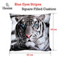 Just Home Blue Eyes Stripes Tiger Square Filled Cushion