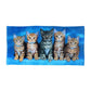 Curious Kittens Cotton Beach Towel
