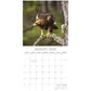 Country Wildlife - 2025 Square Wall Calendar Animals 16 Months Premium Planner