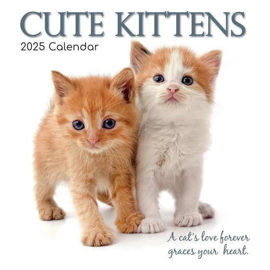 Cute Kittens - 2025 Square Wall Calendar Pets Animals 16 Months Premium Planner