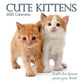 Cute Kittens - 2025 Square Wall Calendar Pets Animals 16 Months Premium Planner
