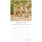 Meerkats - 2025 Square Wall Calendar Pets Animals 16 Months Premium Planner Gift