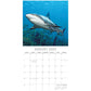 Sharks - 2025 Square Wall Calendar Pets Animals 16 Months Premium Planner Gift