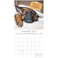Dog Shaming 2025 Square Wall Calendar Pets Animals 16-Month Premium Planner Gift