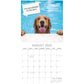 Dog Shaming 2025 Square Wall Calendar Pets Animals 16-Month Premium Planner Gift