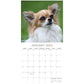 Chihuahuas 2025 Square Wall Calendar Dogs Pets Animals 16 Months Premium Planner
