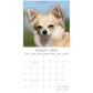 Chihuahuas 2025 Square Wall Calendar Dogs Pets Animals 16 Months Premium Planner