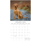 Labradors - 2025 Square Wall Calendar Dogs Pets Animals 16-Month Premium Planner