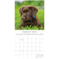 Labradors - 2025 Square Wall Calendar Dogs Pets Animals 16-Month Premium Planner