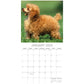 Poodles - 2025 Square Wall Calendar Dogs Pets Animals 16 Months Premium Planner