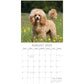 Poodles - 2025 Square Wall Calendar Dogs Pets Animals 16 Months Premium Planner