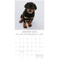 Rottweilers 2025 Square Wall Calendar Dogs Pets Animals 16-Month Premium Planner