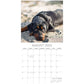 Rottweilers 2025 Square Wall Calendar Dogs Pets Animals 16-Month Premium Planner