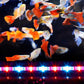 Aquarium Fish Tank Light LED Waterproof Full Spectrum Aqua Lamp RGB - 77cm 122Led