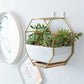 Wall Hanging Succulent Planter Pot Indoor Outdoor Flower Plant Vase Garden Decor - Gold