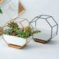 Wall Hanging Succulent Planter Pot Indoor Outdoor Flower Plant Vase Garden Decor - Gold