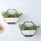 Wall Hanging Succulent Planter Pot Indoor Outdoor Flower Plant Vase Garden Decor - Gold