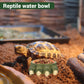 Lizard Claw Shaped Pet Food Water Bowl Durable Resin Non Slip