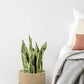 1-Piece 30 cm Woven Cotton Rope Storage Basket, Black and Beige