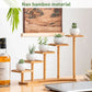 Bamboo Indoor Desktop Flower Stand for Living Room Office MultiTier Plant Holder - Round