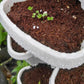 4-Petal 3D Plastic Flower Pot Planter for Indoor Outdoor Plants