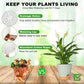 5pcs Self Watering Planter Desktop Plastic Round Planter Auto Suction Lazy Pot - Green