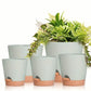 5pcs Self Watering Planter Desktop Plastic Round Planter Auto Suction Lazy Pot - Green