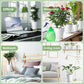 5pcs Self Watering Planter Desktop Plastic Round Planter Auto Suction Lazy Pot - White