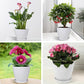 6PCS Simple Plastic Round Plant Pots Vertical Stripes Flower Pot Green Gardening - Green