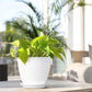 6PCS Simple Plastic Round Plant Pots Vertical Stripes Flower Pot Green Gardening - Green