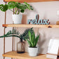 6PCS Simple Plastic Round Plant Pots Vertical Stripes Flower Pot Green Gardening - Green