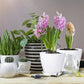6PCS Simple Plastic Round Plant Pots Vertical Stripes Flower Pot Green Gardening - White