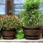 2PCS Wooden Barrel Style Plastic Flower Pots Anti Slip for Garden