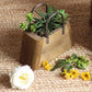 26cm Handbag Shape Flower Pot with Metal Handles Natural Wood