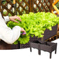 Garden Vegetable Planting Box Durable Sturdy for Patio Balcony Outdoor Growing