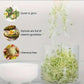 Bean Sprout Growing Machine Automatic Sprouting Pot Plant Germination Tool