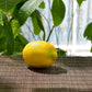 10PCS Lifelike Artificial Lemons for Home and Party Decor