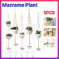 5-Piece Macrame Plant Hanger Set for Indoor Pots
