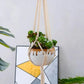 5-Piece Macrame Plant Hanger Set for Indoor Pots