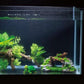 1-Piece Resin Moss Bridge Aquarium Decoration