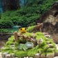 1-Piece Resin Moss Bridge Aquarium Decoration