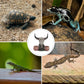 Bull Head Reptile Water Bowl Resin Reptile Dish Decor