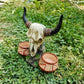 Bull Head Reptile Water Bowl Resin Reptile Dish Decor
