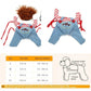 Halloween Dog Costume Pet Accessories Funny Dress Up for Small Medium Dogs - Little Devil Riding-S